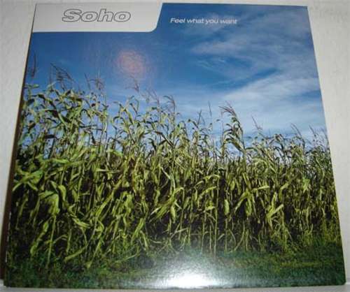Cover Soho (3) - Feel What You Want (12) Schallplatten Ankauf