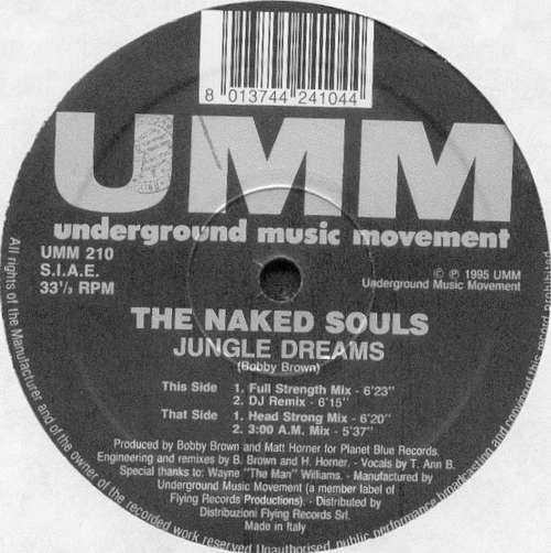 Cover The Naked Souls (2) - Jungle Dreams (12) Schallplatten Ankauf
