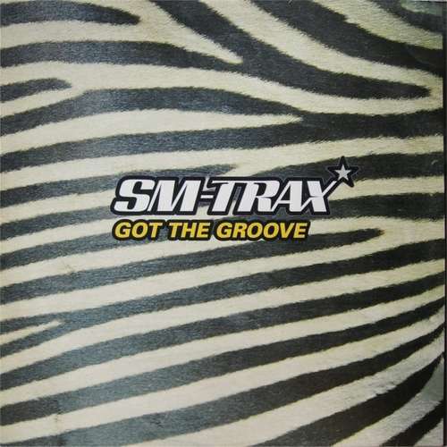 Cover Got The Groove Schallplatten Ankauf
