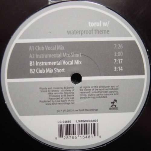 Cover Torul W/* - Waterproof Theme (12) Schallplatten Ankauf