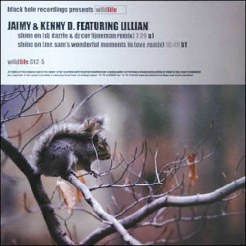 Cover Jaimy & Kenny D. Featuring Lillian* - Shine On (12) Schallplatten Ankauf