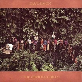 Cover Paul Simon - The Obvious Child (12) Schallplatten Ankauf