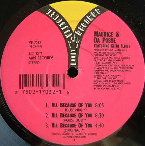 Cover Maurice* & Da Posse - All Because Of You (12) Schallplatten Ankauf