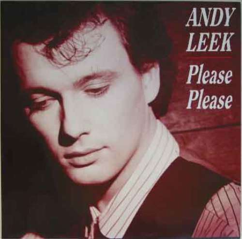 Cover Andy Leek - Please Please (12) Schallplatten Ankauf