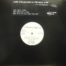 Cover Luke Spellbound & The Mad Kiwi - Australian Hardstyle Experience - Volume 1 (12) Schallplatten Ankauf