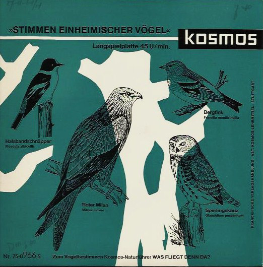 Bild P. Kuhlemann*, Dr. C. König*, A. Ausobsky* - Stimmen Einheimischer Vögel (7) Schallplatten Ankauf