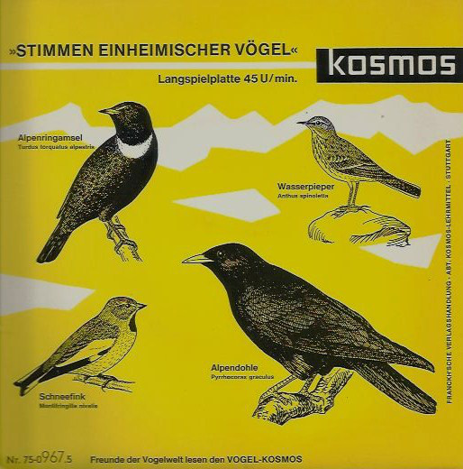 Bild A. Ausobsky* - Stimmen Einheimischer Vögel (7) Schallplatten Ankauf
