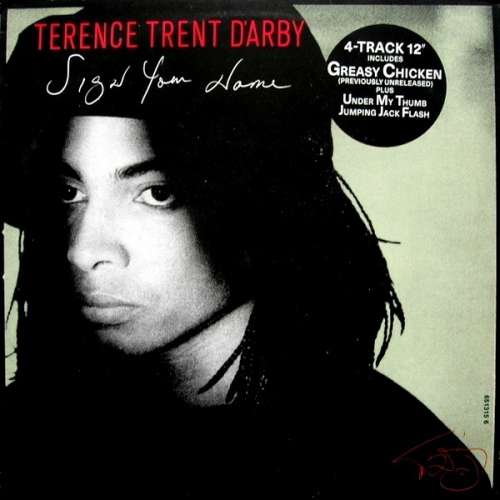Cover Terence Trent D'Arby - Sign Your Name (12) Schallplatten Ankauf