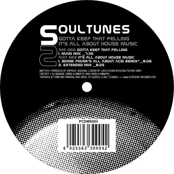 Bild Soultunes - Gotta Keep That Feeling / It's All About House Music (12) Schallplatten Ankauf