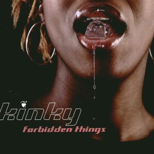 Bild Kinky (2) - Forbidden Things (12) Schallplatten Ankauf