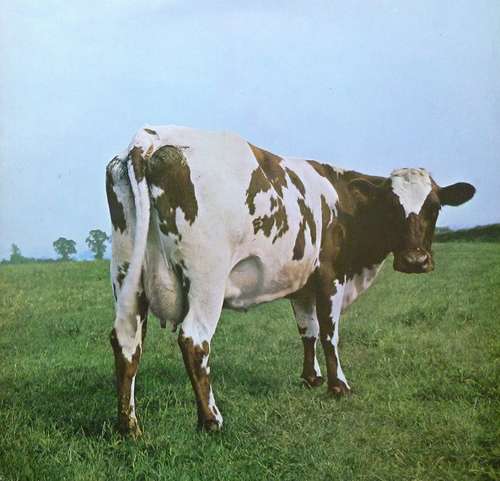 Cover Pink Floyd - Atom Heart Mother (LP, Album, RP, Gat) Schallplatten Ankauf