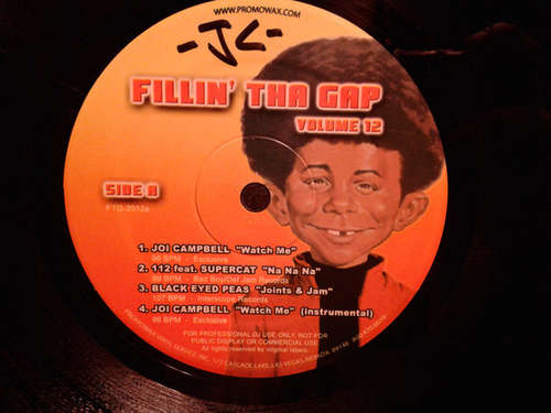 Cover Various - Fillin' Tha Gap Volume 12 (12, Comp) Schallplatten Ankauf
