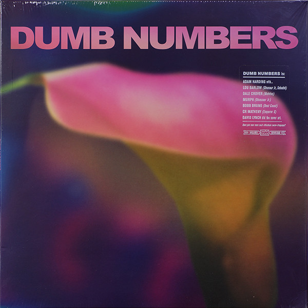 Cover Dumb Numbers - Dumb Numbers (LP, Album) Schallplatten Ankauf