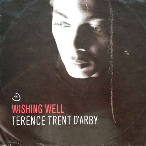 Cover Terence Trent D'Arby - Wishing Well (12) Schallplatten Ankauf