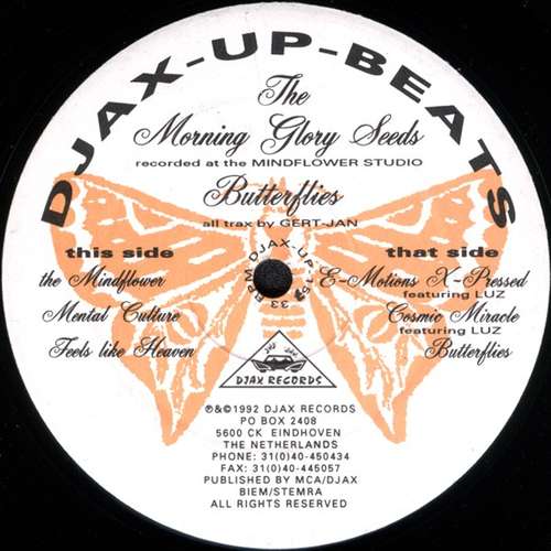 Cover The Morning Glory Seeds - Butterflies (12) Schallplatten Ankauf