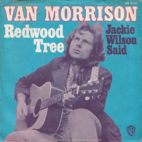 Cover Van Morrison - Redwood Tree (7, Single) Schallplatten Ankauf
