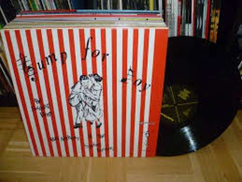 Cover The Swamp Dogs, Ray Anthony & The String Busters - Jump For Joy (LP) Schallplatten Ankauf