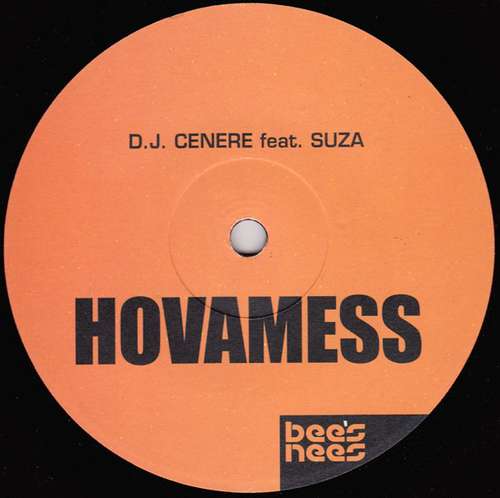Cover DJ Cenere - Hovamess (12) Schallplatten Ankauf