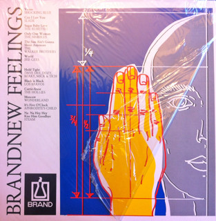 Cover Various - Brandnew Feelings (LP, Comp) Schallplatten Ankauf