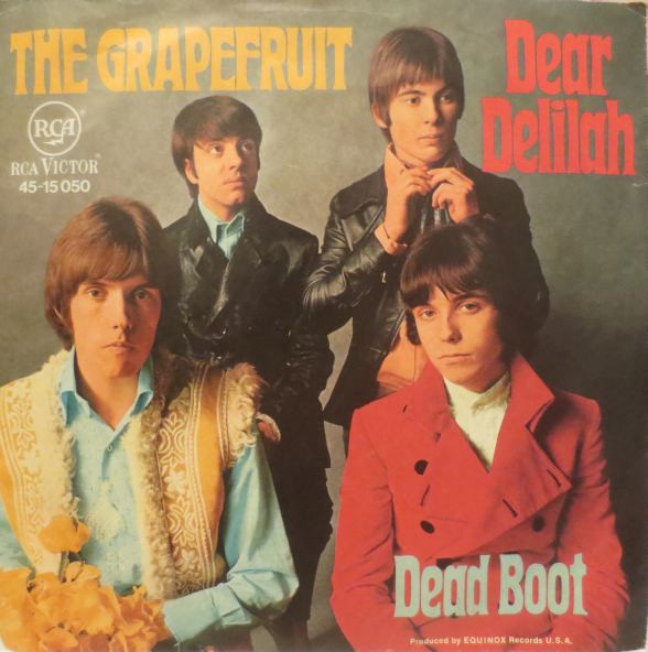 Cover The Grapefruit* - Dear Delilah (7, Single) Schallplatten Ankauf