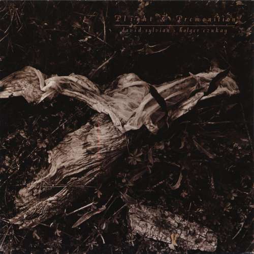 Cover David Sylvian + Holger Czukay - Plight & Premonition (LP, Album) Schallplatten Ankauf