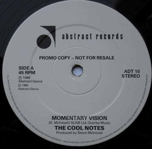 Cover The Cool Notes - Momentary Vision (12, Promo) Schallplatten Ankauf