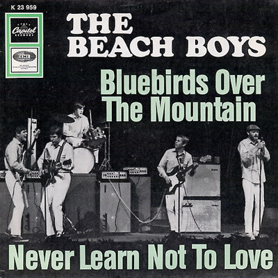 Bild The Beach Boys - Bluebirds Over The Mountain / Never Learn Not To Love (7, Single) Schallplatten Ankauf