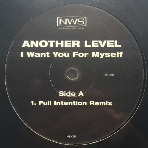 Cover Another Level - I Want You For Myself (12) Schallplatten Ankauf