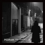 Cover Pedram - Nina / Immaturity (12, Ltd) Schallplatten Ankauf