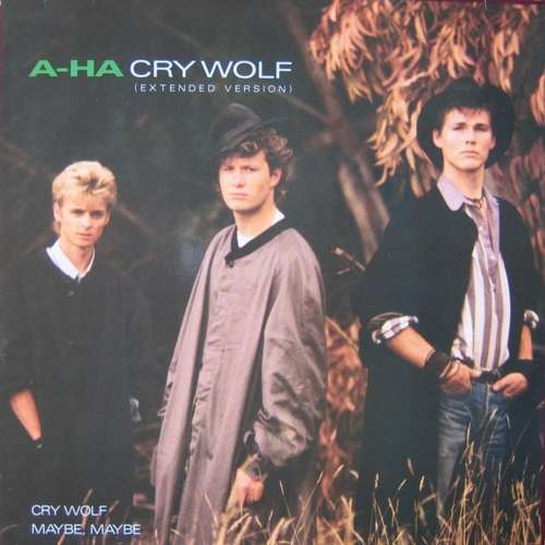 Cover Cry Wolf Schallplatten Ankauf