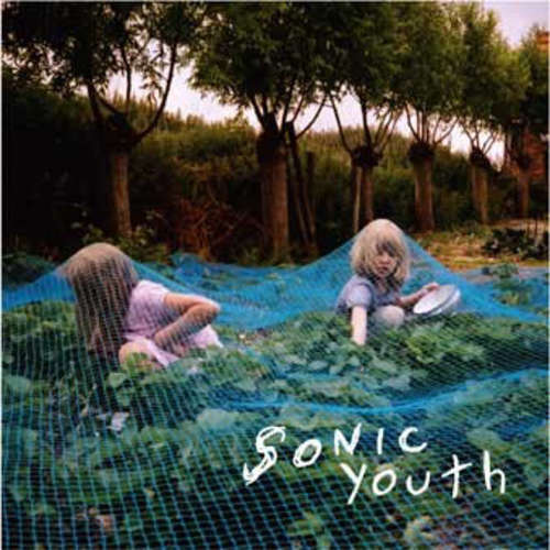 Cover Sonic Youth - Murray Street (LP, Album) Schallplatten Ankauf