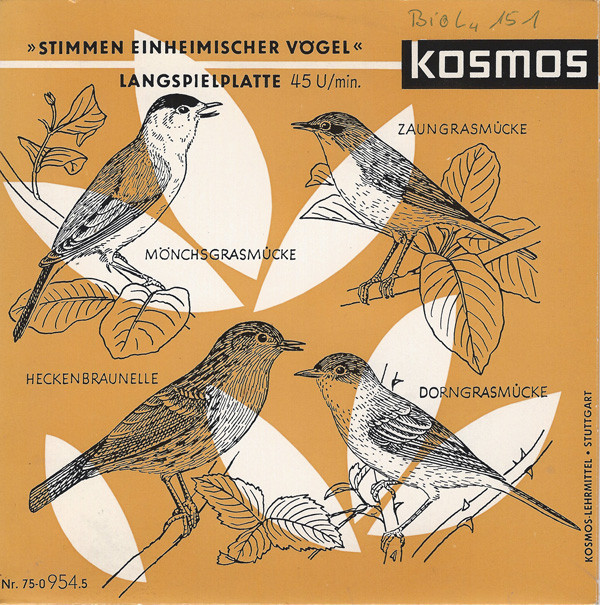 Bild C. Fentzloff* - Stimmen Einheimischer Vögel (7, Mono) Schallplatten Ankauf
