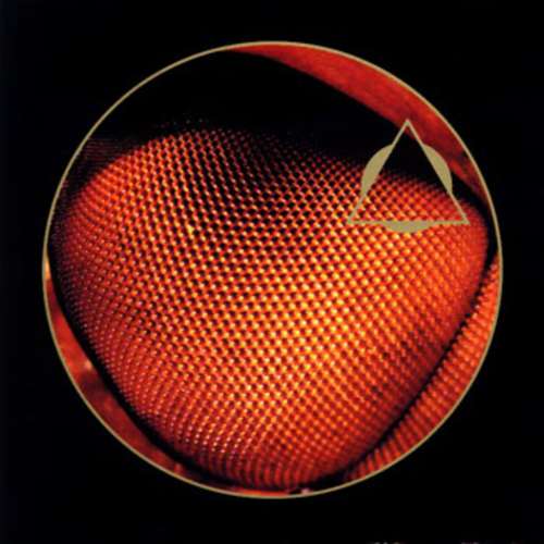 Cover The Whole Traffic - The Whole Traffic 2 (CD, Album, Ltd) Schallplatten Ankauf