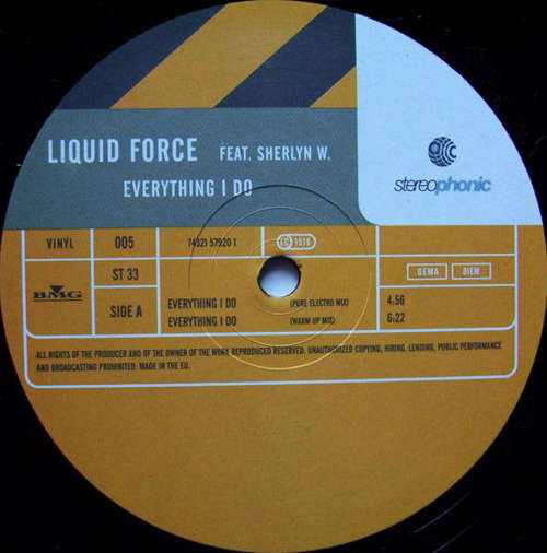 Cover Liquid Force Feat. Sherlyn W.* - Everything I Do (12) Schallplatten Ankauf