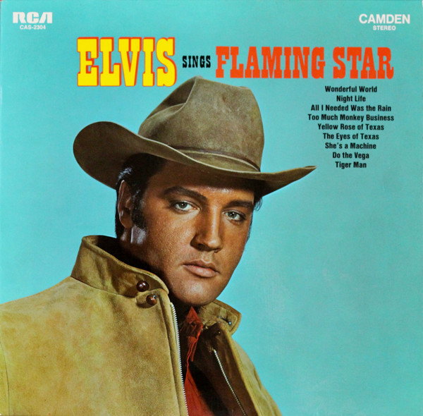 Cover Elvis Presley - Elvis Sings Flaming Star (LP, Comp, RE) Schallplatten Ankauf