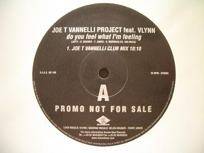Cover Joe T Vannelli Project* Feat. Vlynn - Do You Feel What I'm Feeling (2x12, Promo) Schallplatten Ankauf