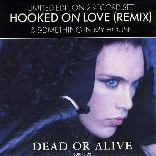Cover Dead Or Alive - Hooked On Love (Remix) & Something In My House (2x7, Single, Ltd) Schallplatten Ankauf