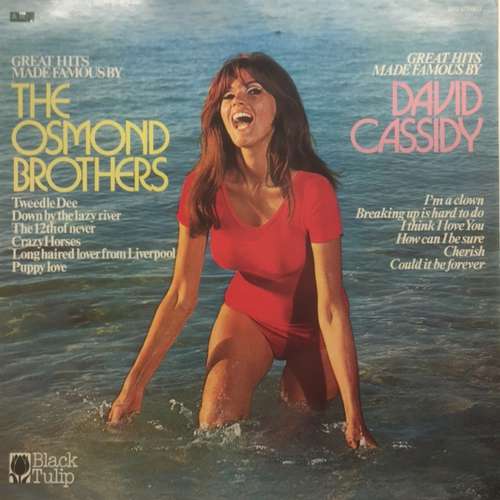 Cover Unknown Artist - Great Hits Made Famous By The Osmond Brothers, David Cassidy (LP, Comp) Schallplatten Ankauf