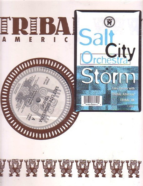 Cover Salt City Orchestra - Storm (12) Schallplatten Ankauf