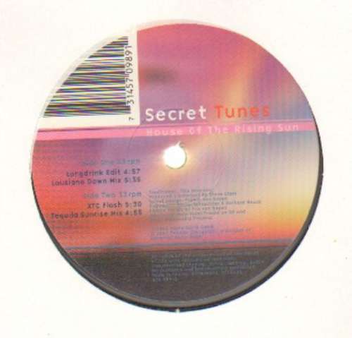 Bild Secret Tunes - House Of The Rising Sun (12) Schallplatten Ankauf