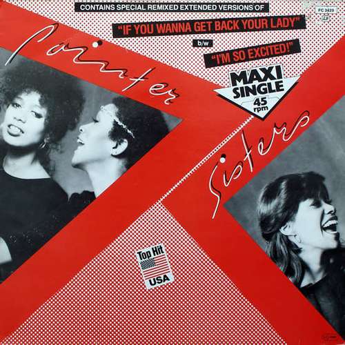 Cover Pointer Sisters - If You Wanna Get Back Your Lady / I'm So Excited (12, Maxi) Schallplatten Ankauf