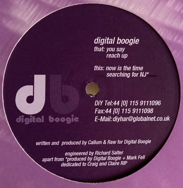 Cover Digital Boogie - You Say (12) Schallplatten Ankauf