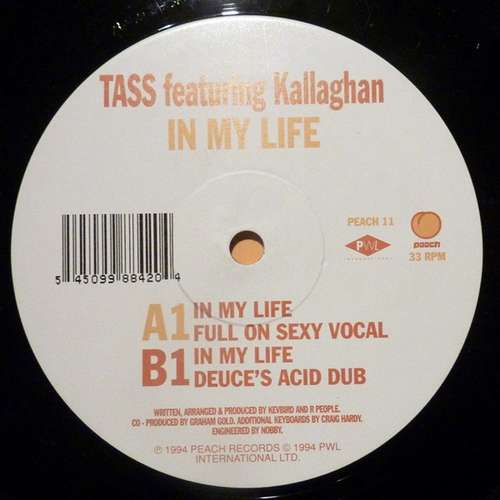Cover Tass Featuring Kallaghan - In My Life (12) Schallplatten Ankauf