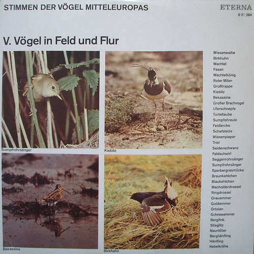 Cover No Artist - Stimmen Der Vögel Mitteleuropas - V. Vögel In Feld Und Flur (LP, Mono) Schallplatten Ankauf