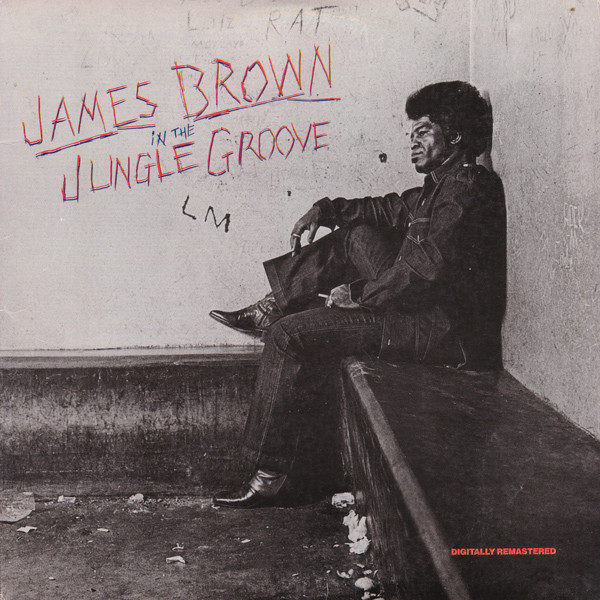 Cover James Brown - In The Jungle Groove (2xLP, Comp, RM) Schallplatten Ankauf