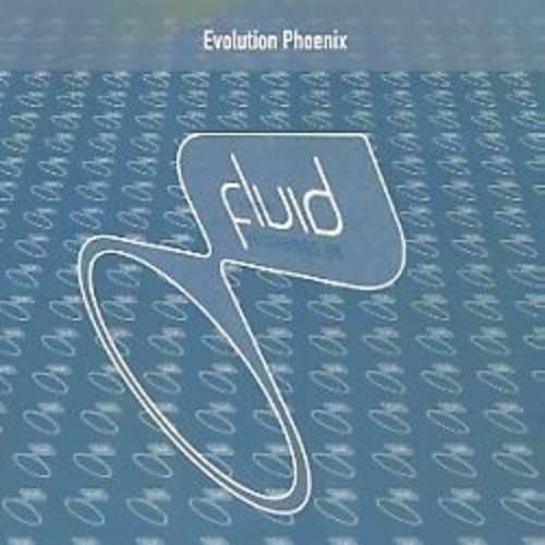 Cover Evolution - Phoenix (12) Schallplatten Ankauf