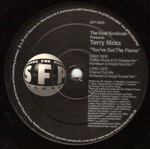 Cover The Soul Syndicate* Presents Terry Maxx - You've Got The Flame (12) Schallplatten Ankauf