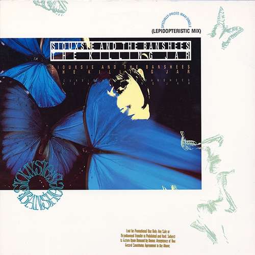 Cover The Killing Jar (Lepidopteristic Mix) Schallplatten Ankauf