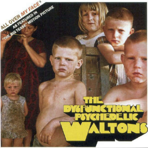 Cover The Dysfunctional Psychedelic Waltons - All Over My Face (12) Schallplatten Ankauf