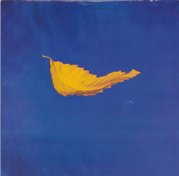 Cover New Order - True Faith (7, Single) Schallplatten Ankauf